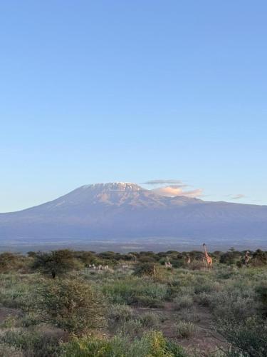 Villa maasai