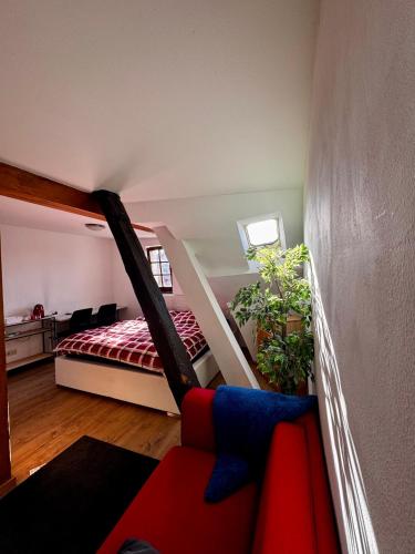 Cozy one-room apartment, Norimberk