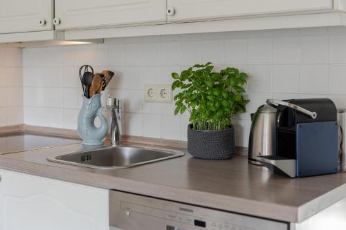 Primera, Keitum (fotografie 9)