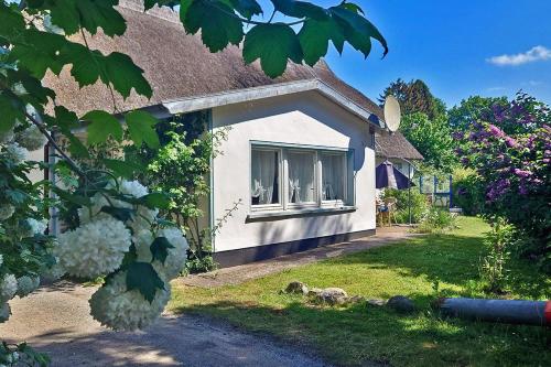 Haus-Kleist-Wohnung-3 - image 4