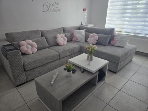 Zeepaardje - Location saisonnière - Blankenberge