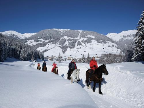 Apartment in Zillertal near Ski Slopes