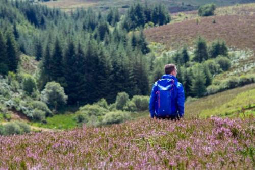 Sports and activities, Simply Stay in Monaghan