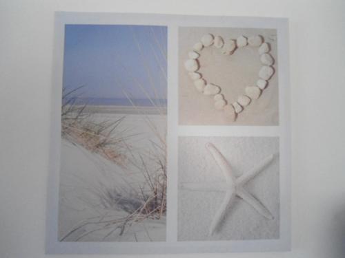 Halte71, Zandvoort (zdjęcie 5)