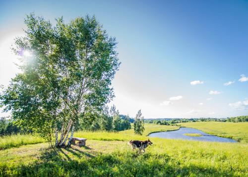 Storių sodyba Storių sodyba