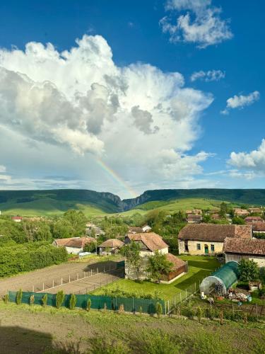 Cazare Cheile Turzii in Petrestii De Jos