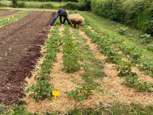Экстерьер, Chez Bonneau in Нантьа