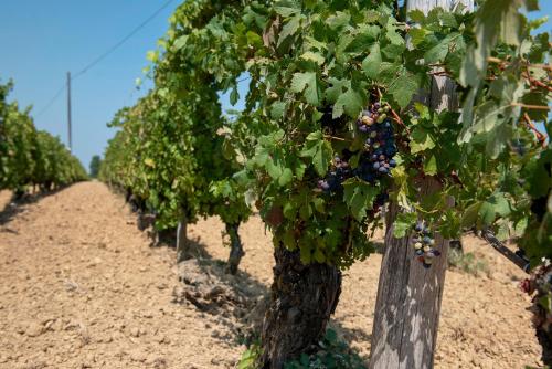 A szálláshely kívülről, Vacanza Nel Cuore Del Monferrato in Rocca Grimalda