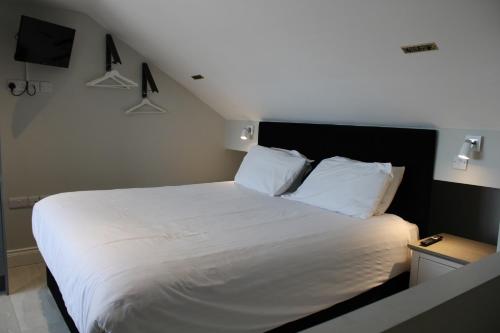 MOXIE LUXURY APARTMENTS 5