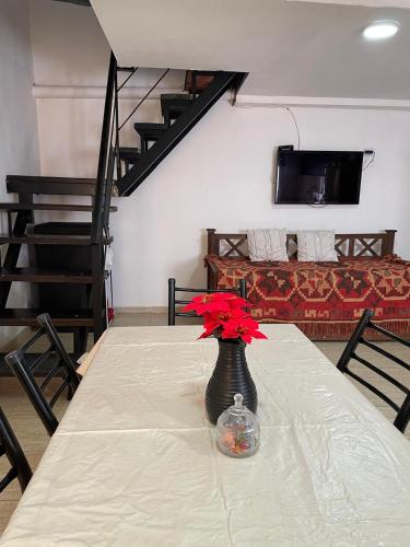 Hermoso Departamento a Mts de La Playa