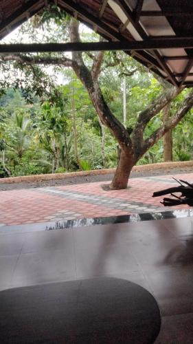 Vintage Brown by Ophel Homes in Mananthavady