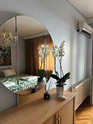 Heart of Yesilkoy-Green village, Istanbul (foto 10)