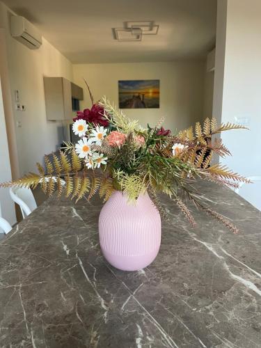 주방, Villa Primule Cattolica in 카톨리카