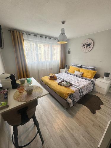 Studio Le Voyageur 24 m2, Lyon
