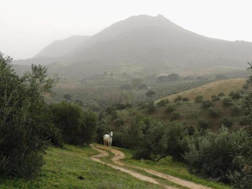. Holiday Home in Villanueva near El Terril Peak