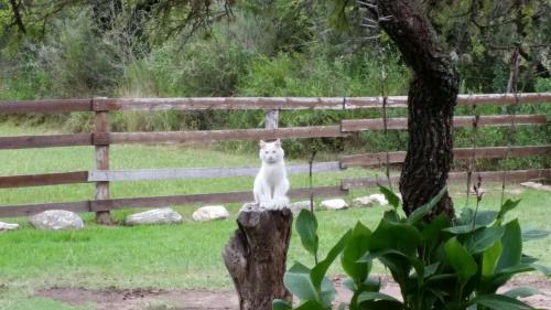 Cabañas Calma Chicha