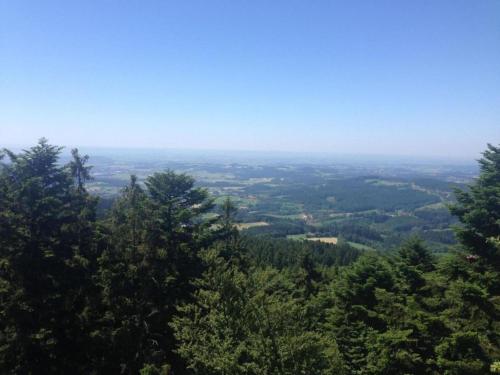 Ferienwohnung im Bayerischen Wald mit Balkon, Drachselsried (foto 3)
