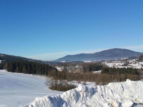 Ferienwohnung im Bayerischen Wald mit Balkon, Drachselsried (foto 5)