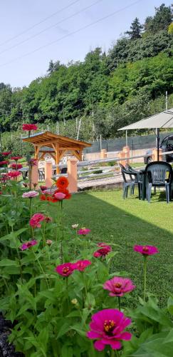 Agritur Casa al Mulino Camere - Accommodation - Sanzeno