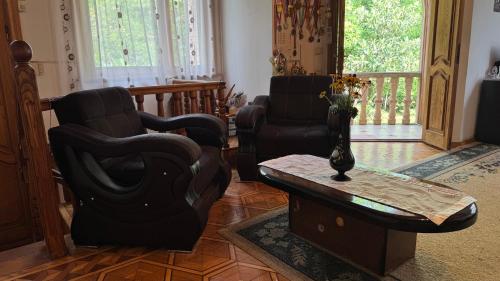 Сибиряк Sibiryak, Tskhaltubo (foto 5)