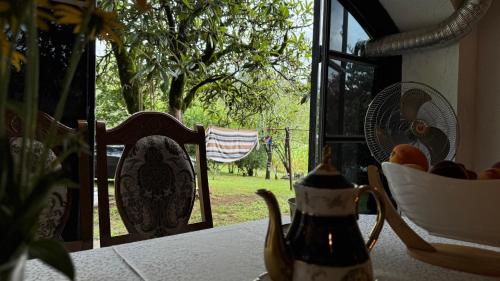 Сибиряк Sibiryak, Tskhaltubo (foto 6)