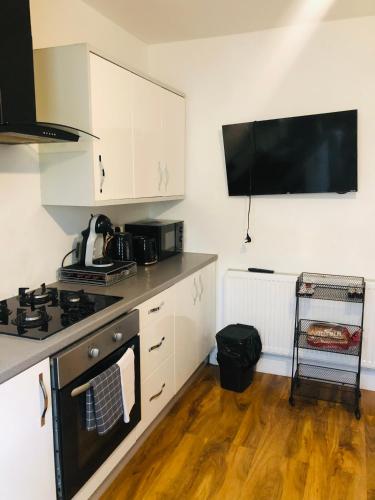 Super location 2 bedroom apartment 20 minutes from central London, Londýn (fotografie 4)