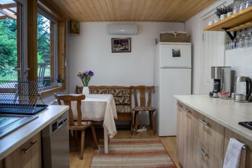 Cosy wooden house in the heart of Apuseni. in Belis