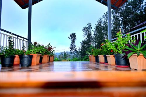 Siri Kuteera Homestay in Aladagudde