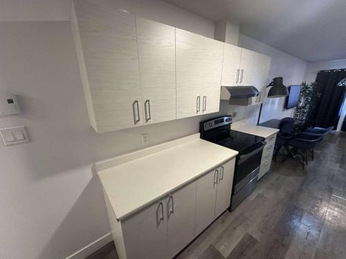 2 bedrooms near Hochelaga area - D907 near The Montreal Tower / La Tour de Montreal