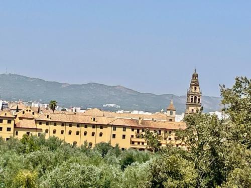 Geysotur Ribera Luxury Suites, Córdoba (photo 7)