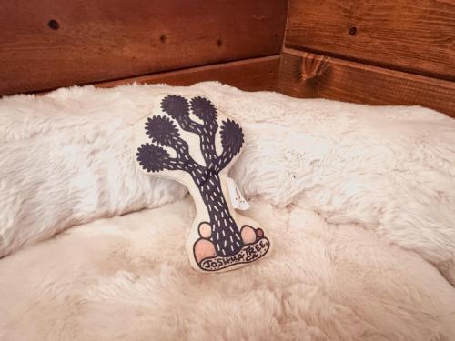 Room 1 - Downtown Joshua Tree Motel - Pet Friendly - Walk to Shops & Visitor Center, Minutes to Park