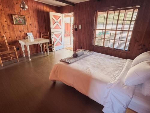 Exterior view of Room 3 - Downtown Joshua Tree Motel - Pet Friendly - Walk to Shops & Visitor Center, Minutes to Park