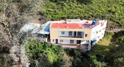 The Wild House