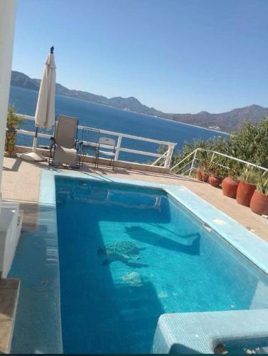 Casa Tortugas Manzanillo in El Manzanillo