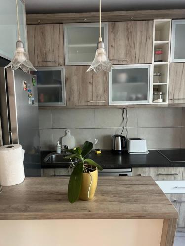 Apartment Orchid House - image 11