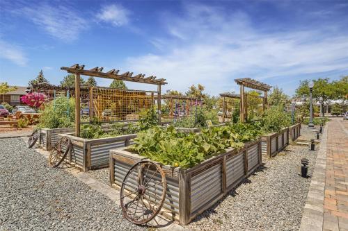 Photo - Best Western Plus Cedar City