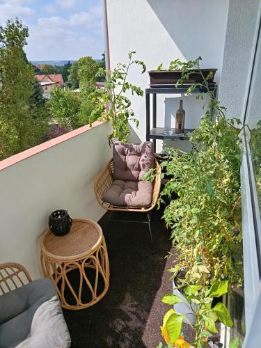 Erkély/terasz, Harmonie in Coswig