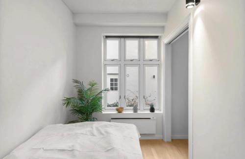 Cozy Apartment in the Heart of Oslo, Oslo (foto 8)