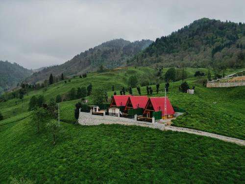 Yerumoni Suit Bungalov