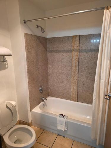 American Inn & Suites - image 14