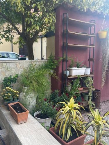 B&B Rainforest, Rome (photo 7)