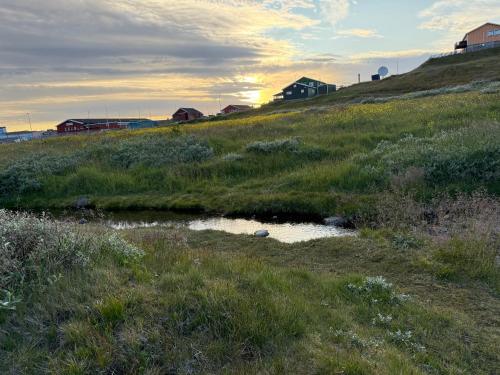 Kuukasik hostel in 纳沙克