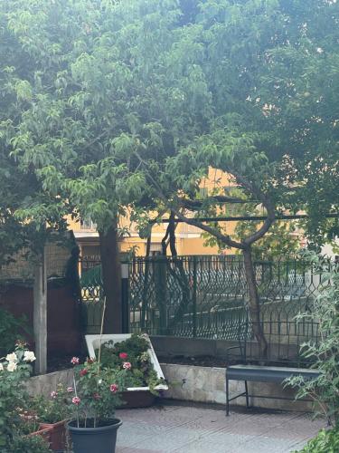 B&B Rainforest, Rome (photo 5)