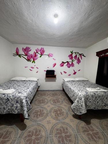 Posada TEO in Xilitla, Mexico