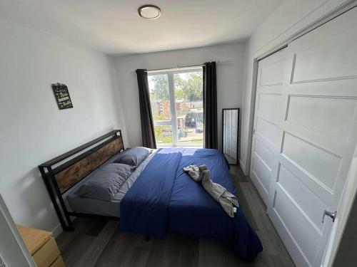 2 bedrooms near Hochelaga area D908 near The Montreal Tower / La Tour de Montreal