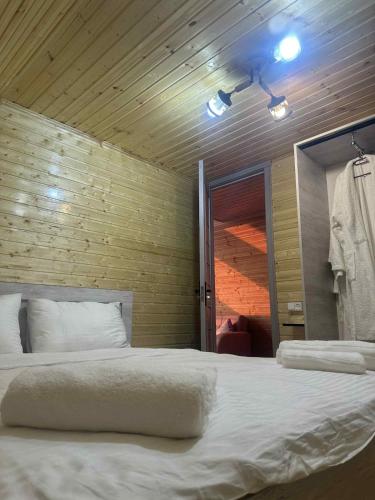 Lizi's Cottage in Buknari