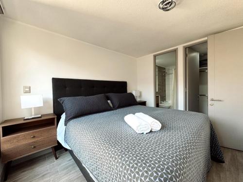 Parque Ohiggins I Movistar Arena near Fantasilandia