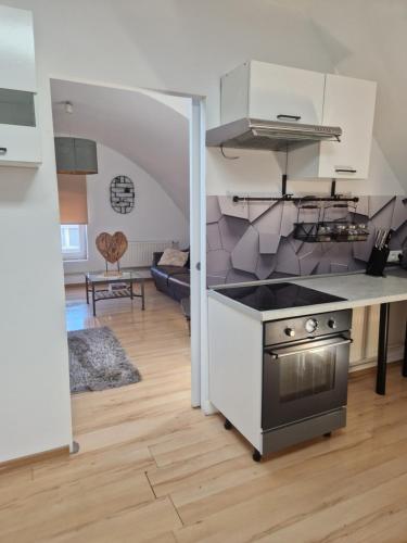 Apartament Wodzisław Śląski Blisko granicy