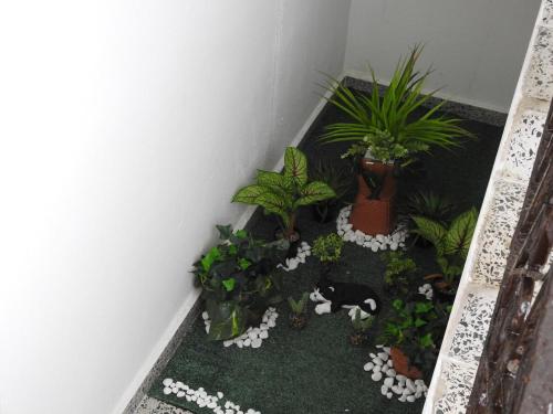 Welcome to Casa Bonita in Quebradillas