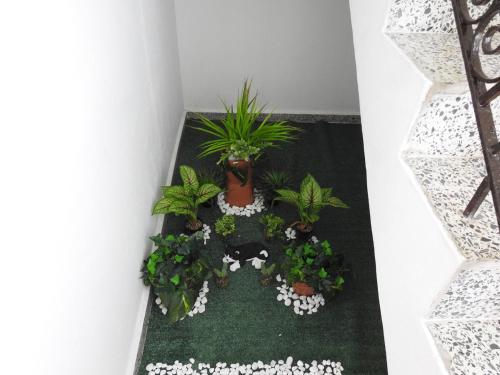 Welcome to Casa Bonita in Quebradillas